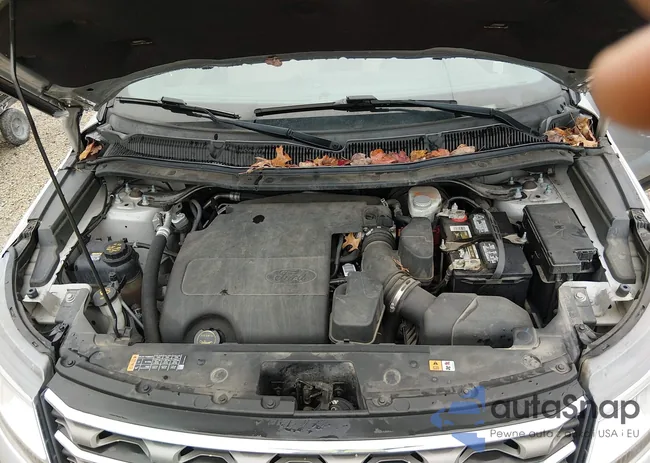 1FM5K7B81HGC52981: 44516129