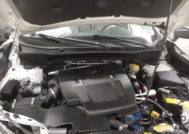 JF2SKACC6KH465824: 44515251