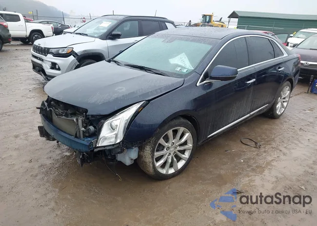 2G61N5S34H9131625: 44515447