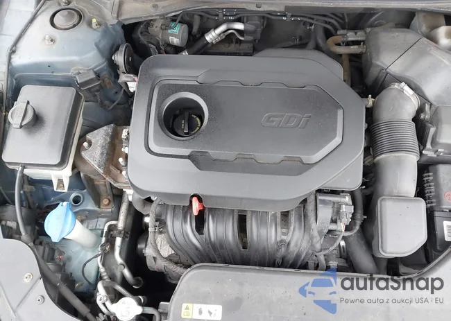 5NPE24AFXFH210904: 44516782