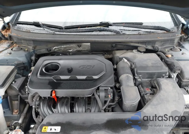 5NPE24AF5FH206971: 44517042