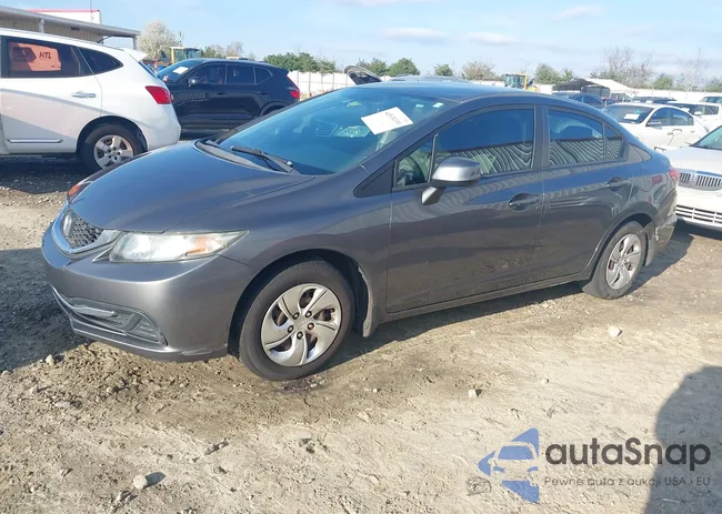 2HGFB2F50DH519961: 44518199