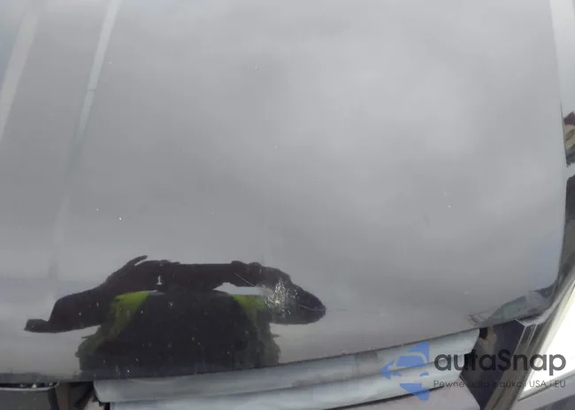 2D4RN3D18AR363735: 44518967