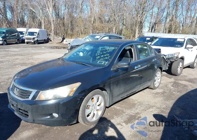 1HGCP36829A029256: 44519082