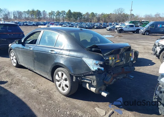 1HGCP36829A029256: 44519082