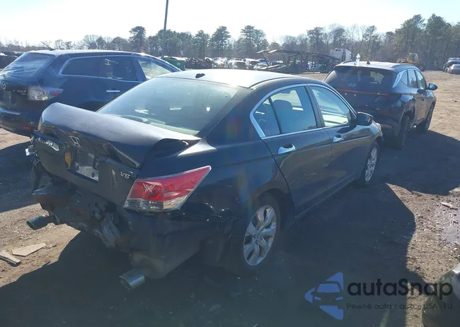 1HGCP36829A029256: 44519082