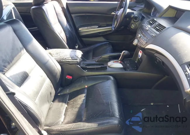 1HGCP36829A029256: 44519082