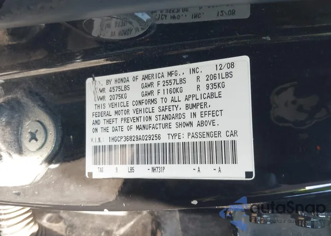 1HGCP36829A029256: 44519082