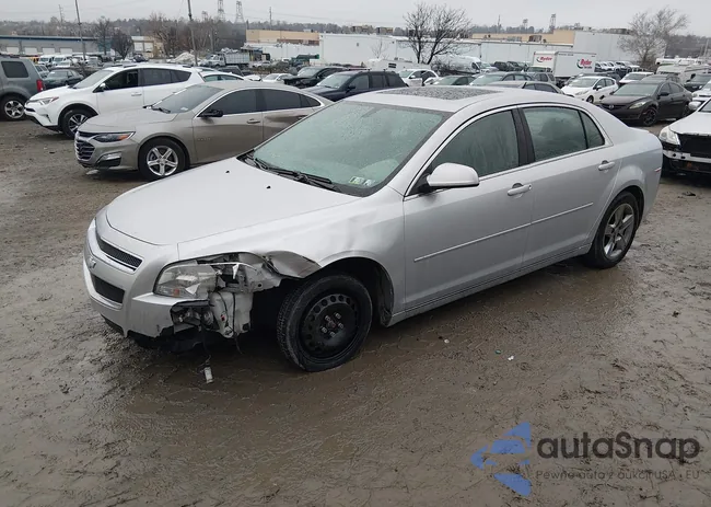 1G1ZC5EB1AF195703: 44518365