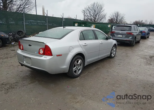 1G1ZC5EB1AF195703: 44518365