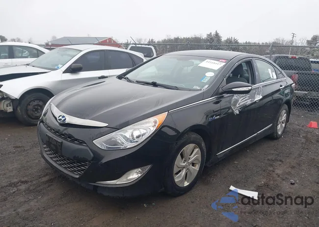 KMHEC4A42FA137896: 44518417