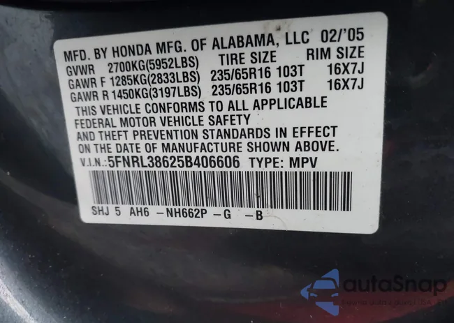 5FNRL38625B406606: 44518527