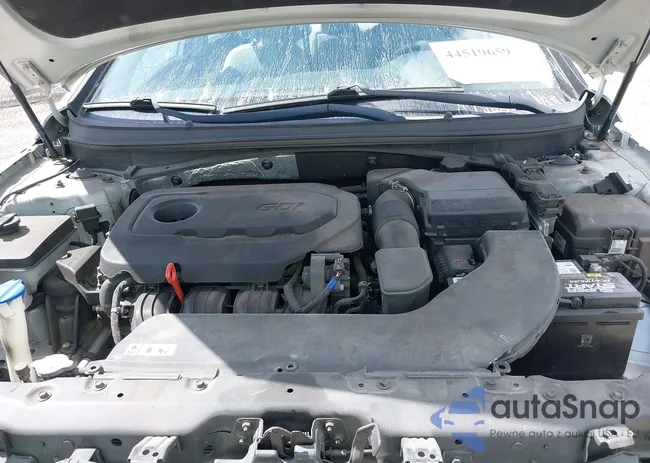 5NPE24AF1HH563955: 44519659