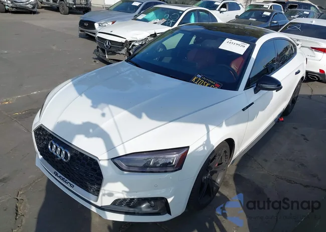 WAUC4DF53JA019565: 44519920