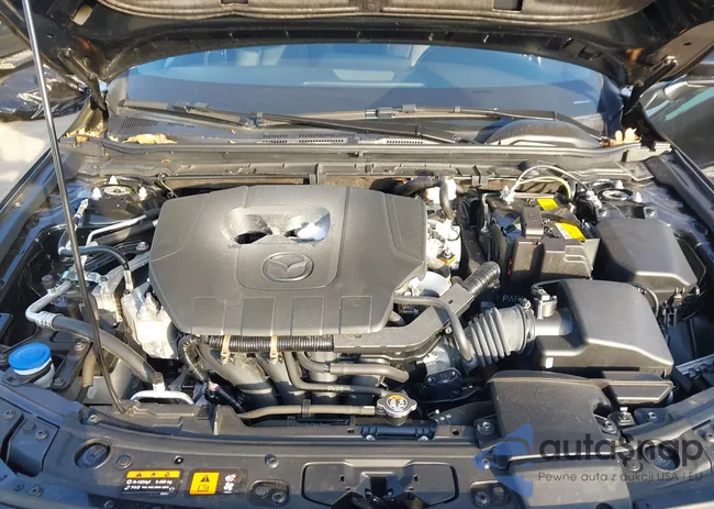 JM1BPAKM4P1600535: 44520046