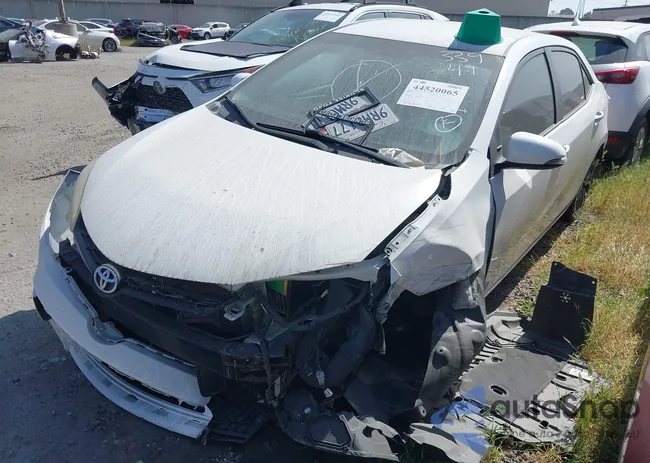 5YFBURHE6GP419598: 44520065