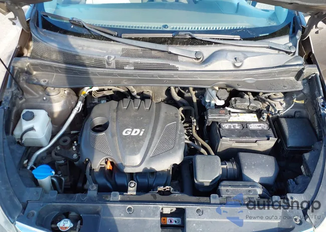 KNDPB3AC6F7719711: 44519241