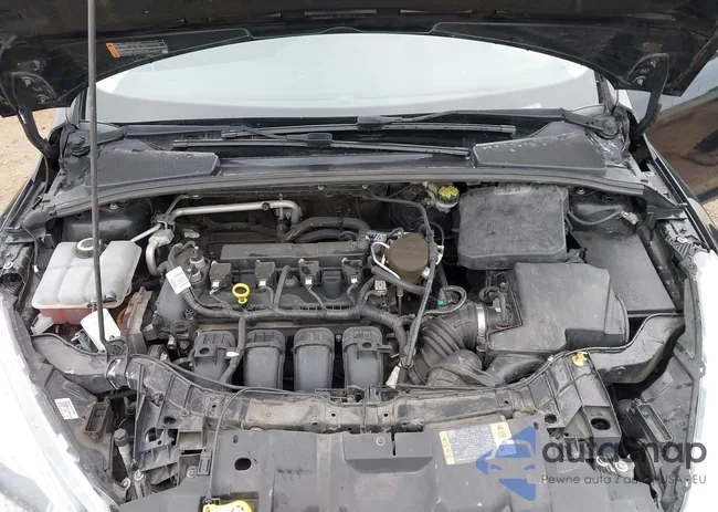 1FADP3F26FL301571: 44519261