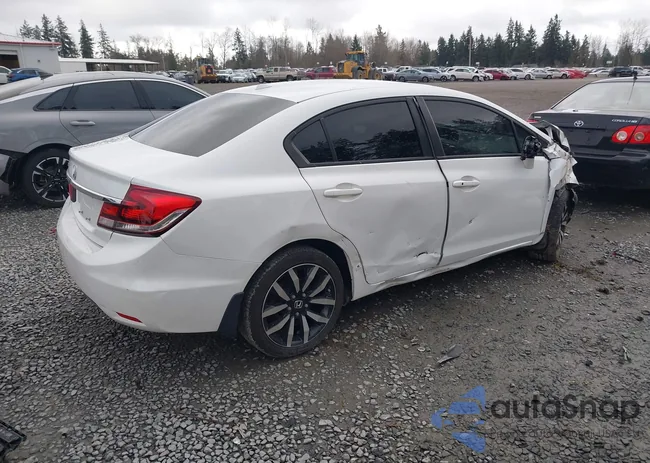 19XFB2F96FE239185: 44519265