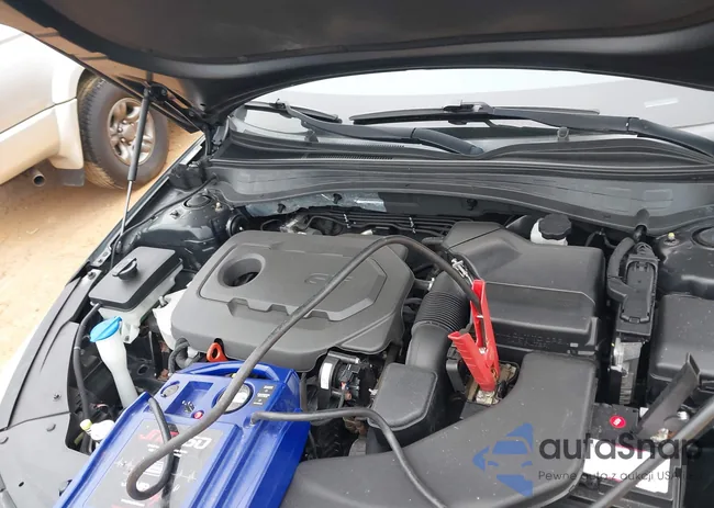 5XXGU4L35GG095891: 44519323