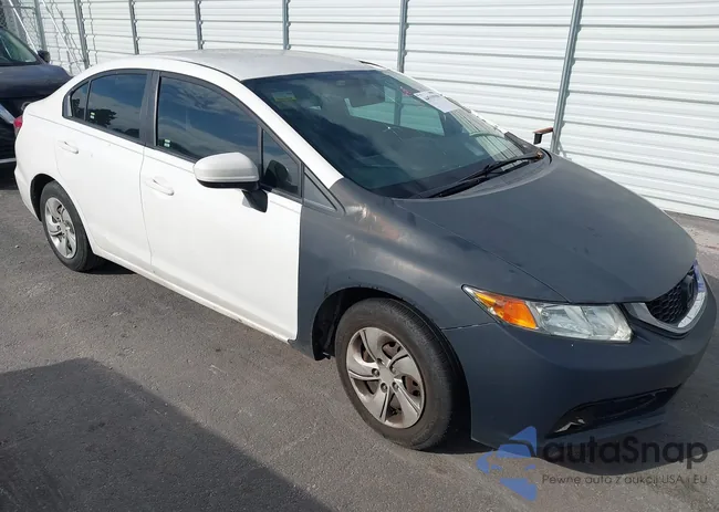 19XFB2F51EE039021: 44519399