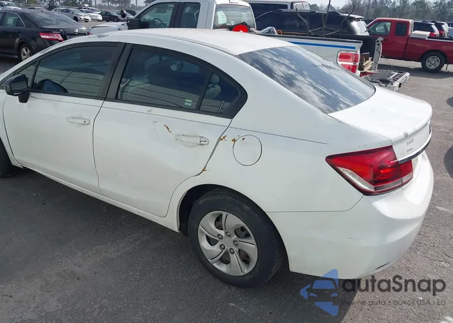 19XFB2F51EE039021: 44519399