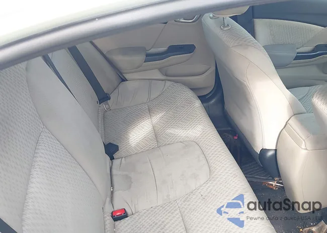 19XFB2F51EE039021: 44519399