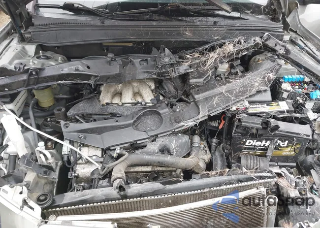 5NMSH13E48H144189: 44519556