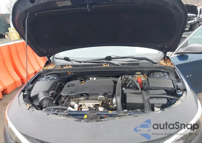 1G1ZD5ST8KF220981: 44520664