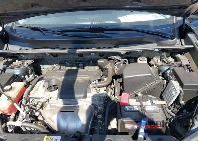 JTMBFREV9JJ718187: 44520668