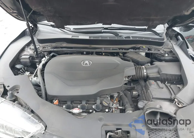 19UUB2F41KA007068: 44520785