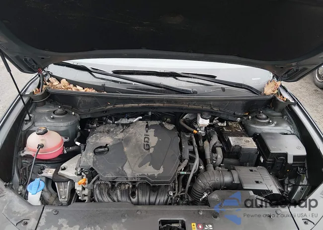 5NMJECAE6NH106722: 44520819