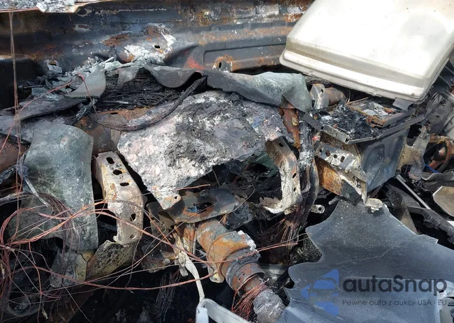 JTEBU5JR2J5512785: 44520919