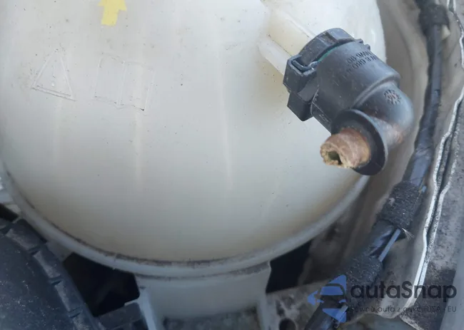 5UXTR7C51KLE98196: 44521008