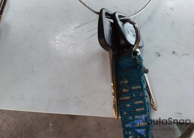 4TAPM62N1TZ217941: 44521233