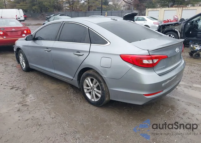 5NPE24AF5HH486863: 44520335