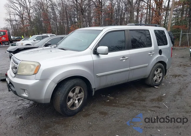 5FNYF4H68AB013180: 44521895