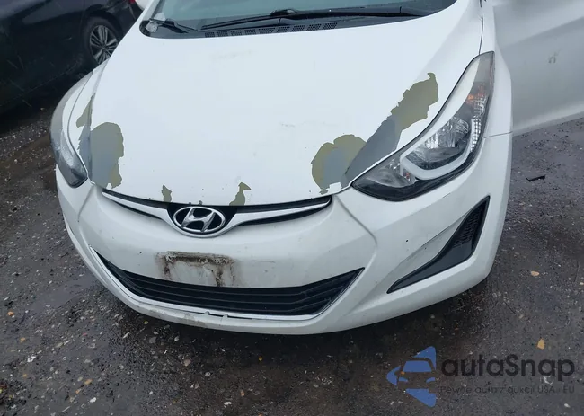 5NPDH4AE9GH720521: 44521343