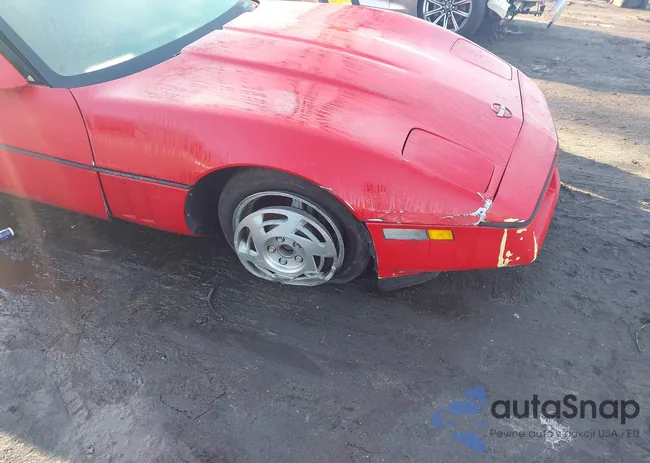 1G1YY2384L5119632: 44522831