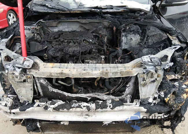 YV126MFM8F1342060: 44523784