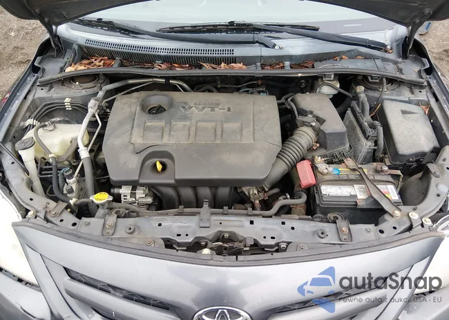 2T1BU4EE9BC735044: 44523795