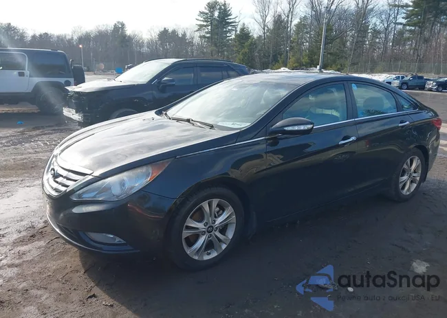 5NPEC4AC7BH176238: 44523929