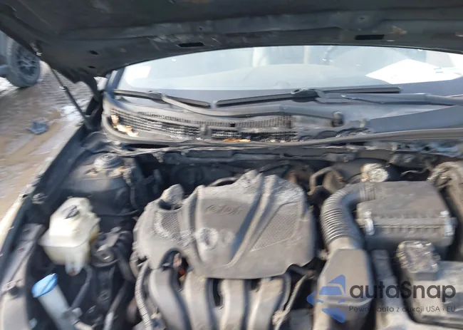 5NPEC4AC7BH176238: 44523929