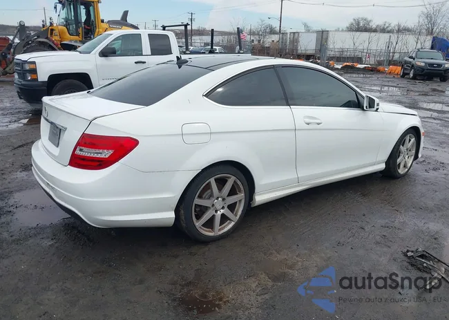 WDDGJ4HB1DF981117: 44524170