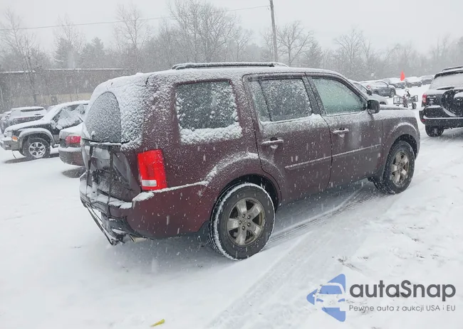 5FNYF4H47AB004100: 44524174