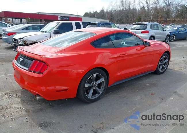 1FA6P8AM0F5335024: 44524190