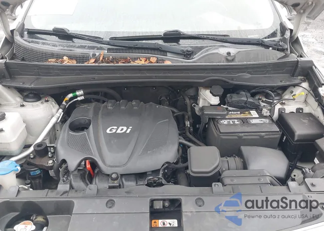 KNDPB3AC0G7825427: 44524205