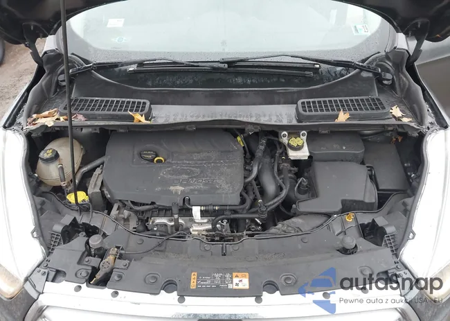 1FMCU0GD1HUA40341: 44524206