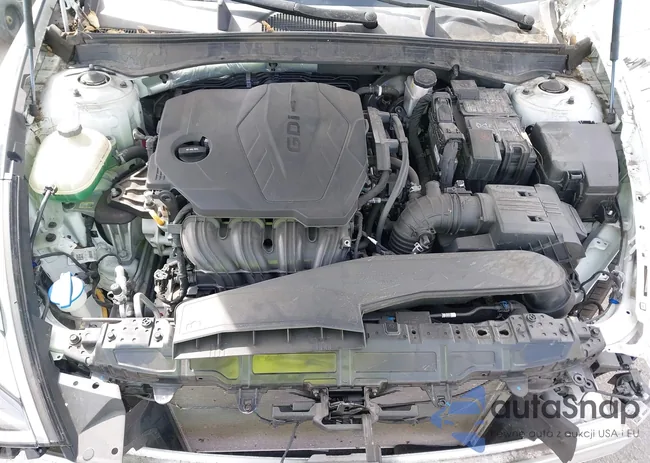 5NPEL4JA1LH060064: 44523367