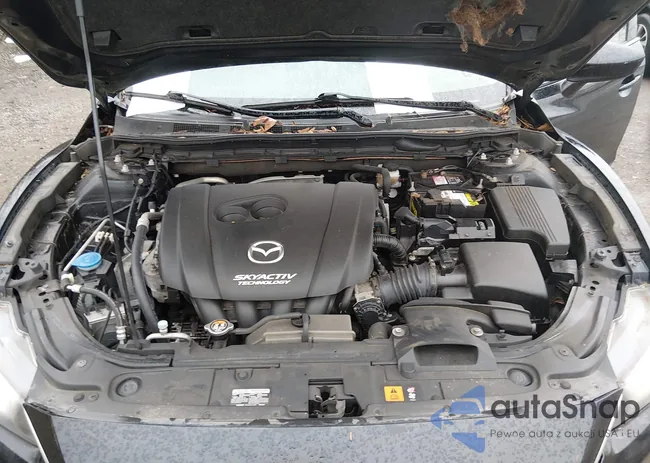 JM1GJ1U65F1163830: 44524653